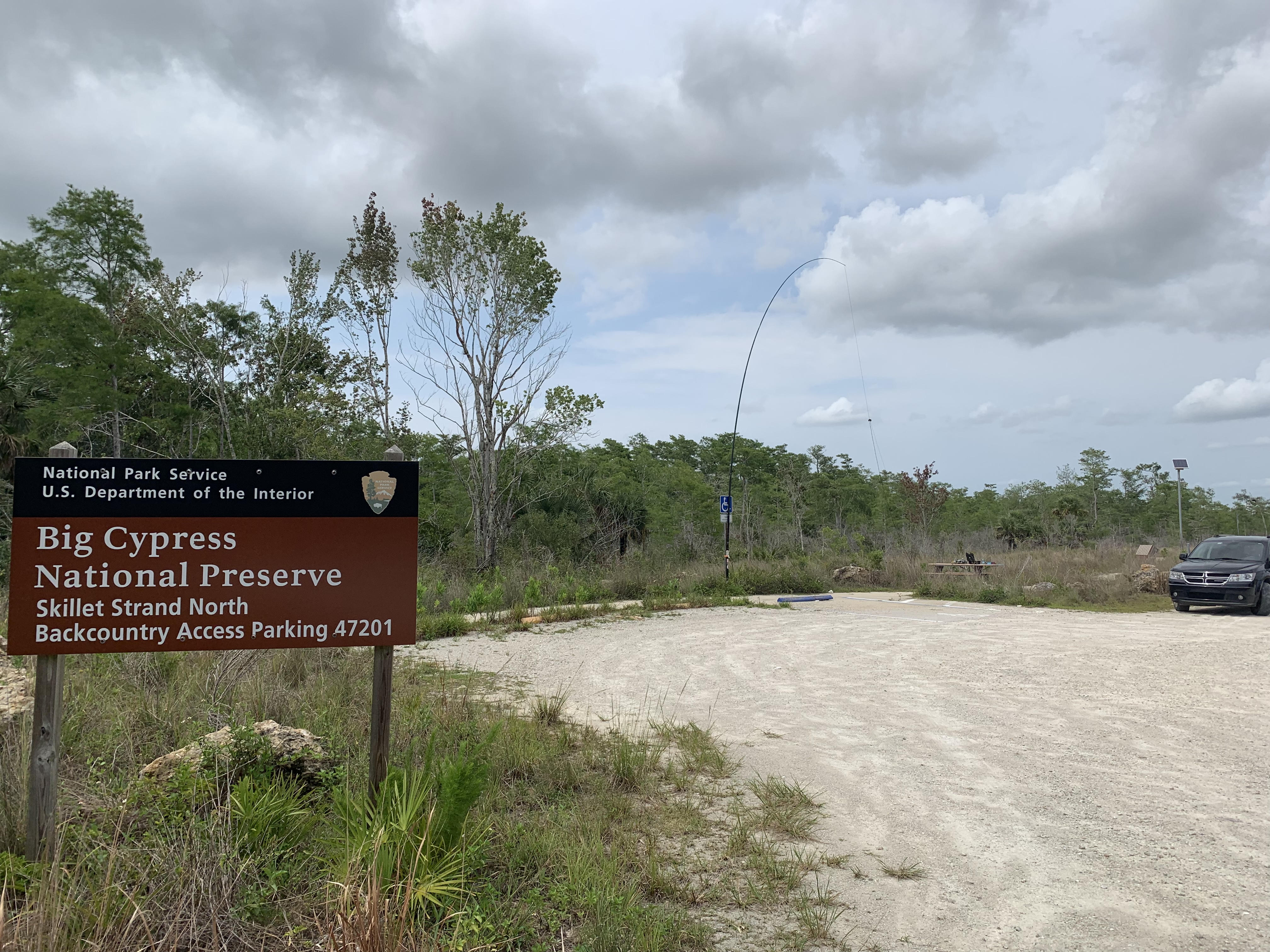 Third time's the charm, K-0659 Big Cypress National Preserve