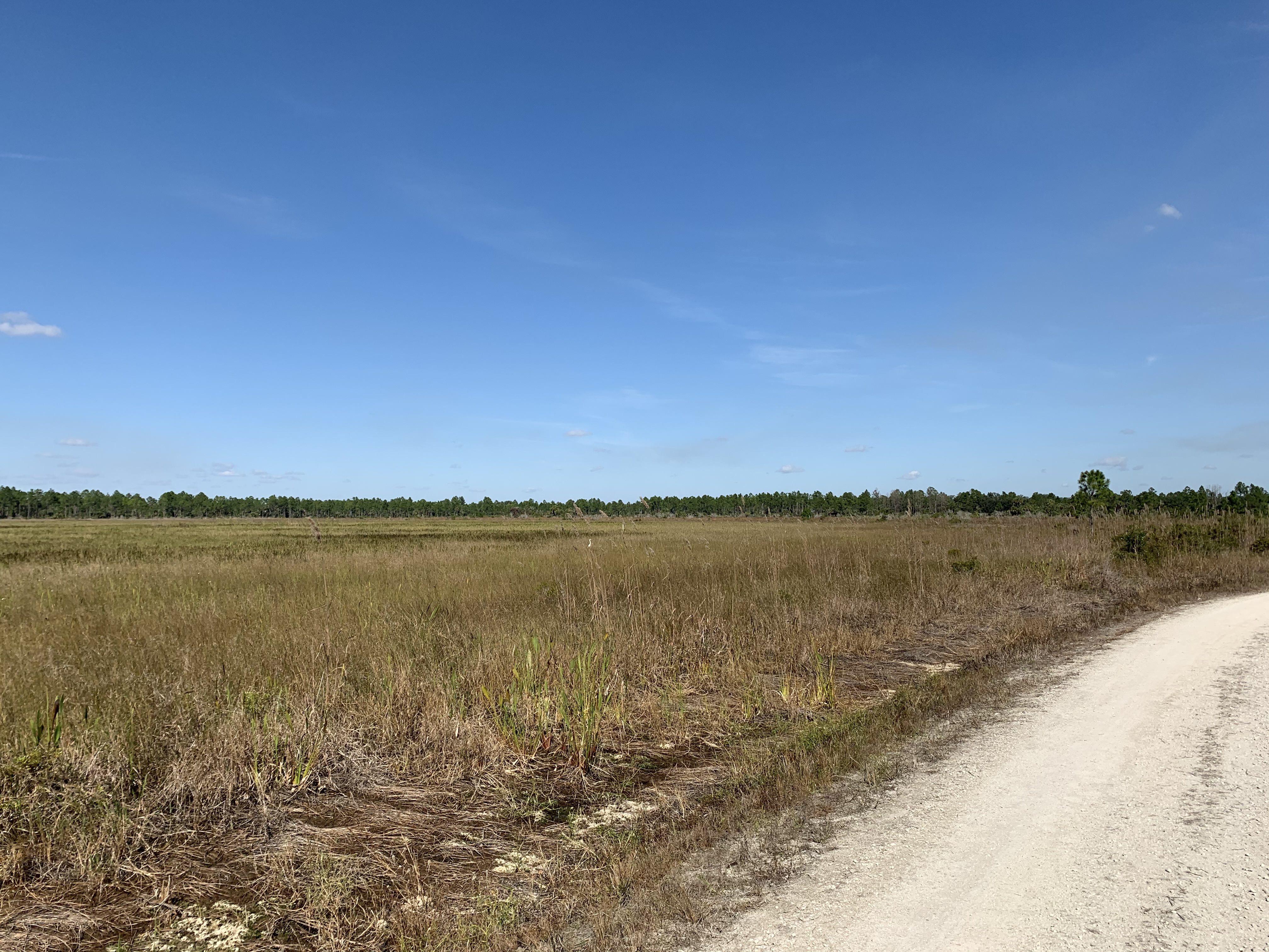 K-4633 Okaloacoochee Slough State Forest