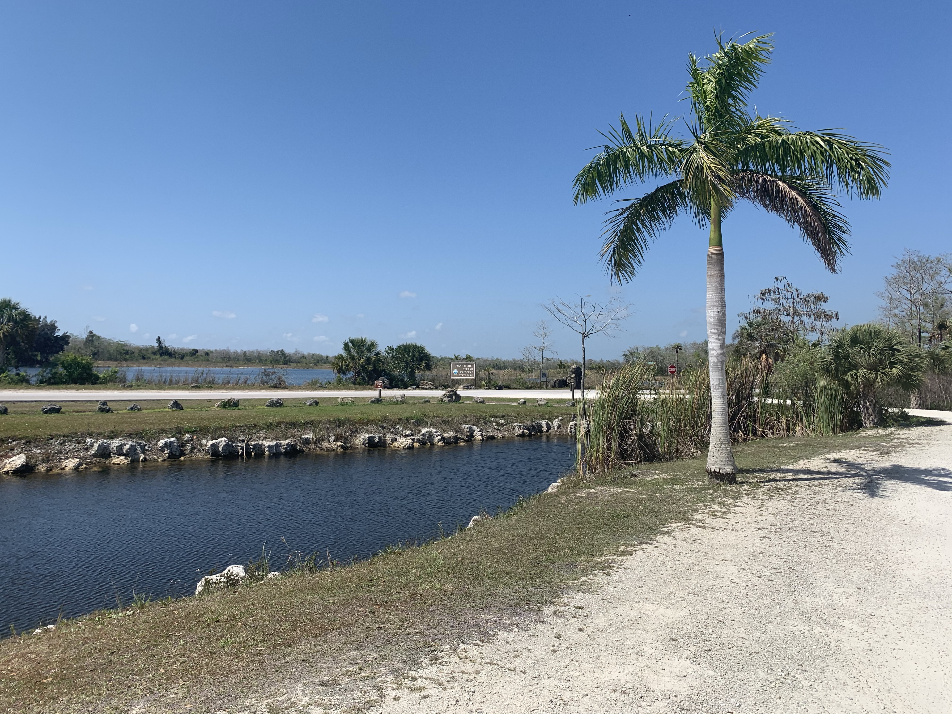 K-3618  Fakahatchee Strand Preserve State Park