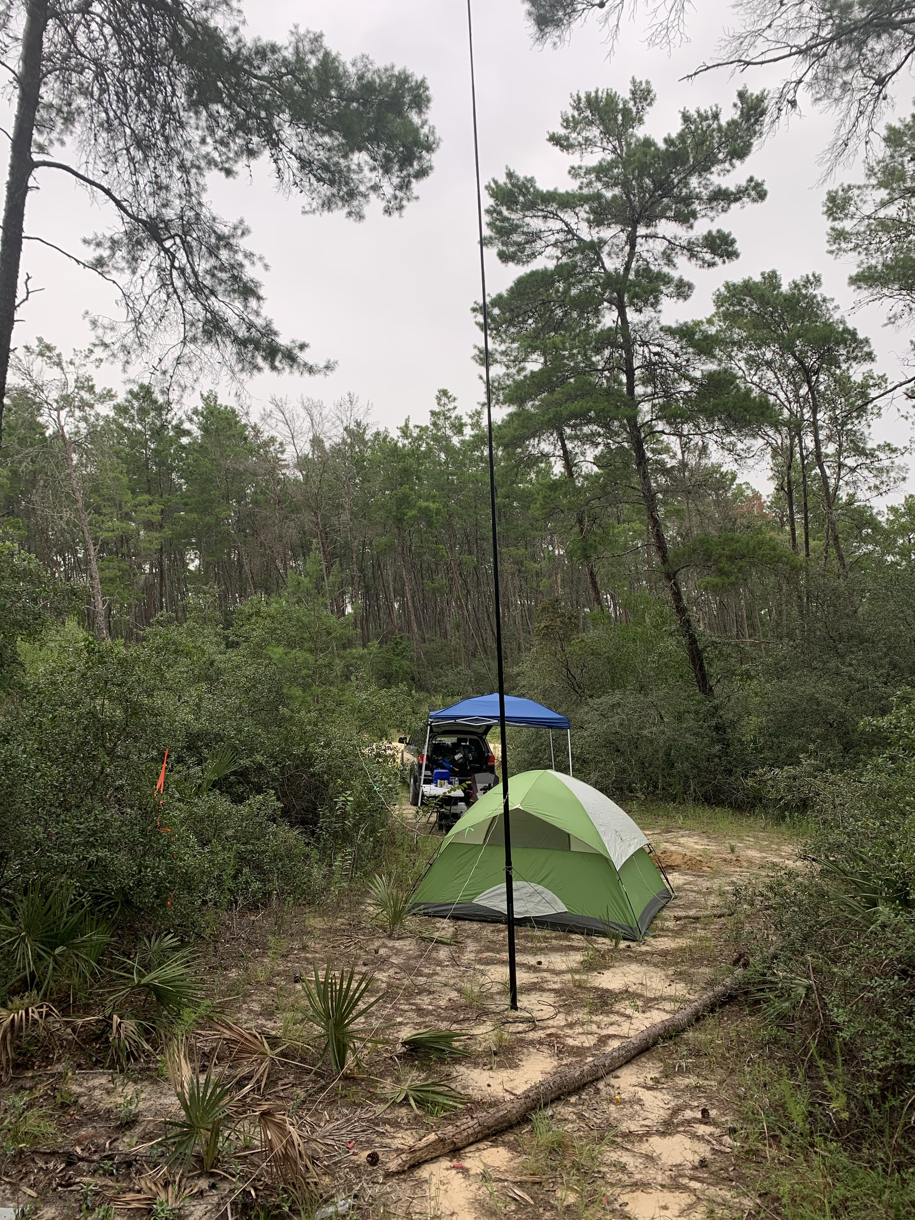Field Day 2020 - Ocala National Forest K-4471