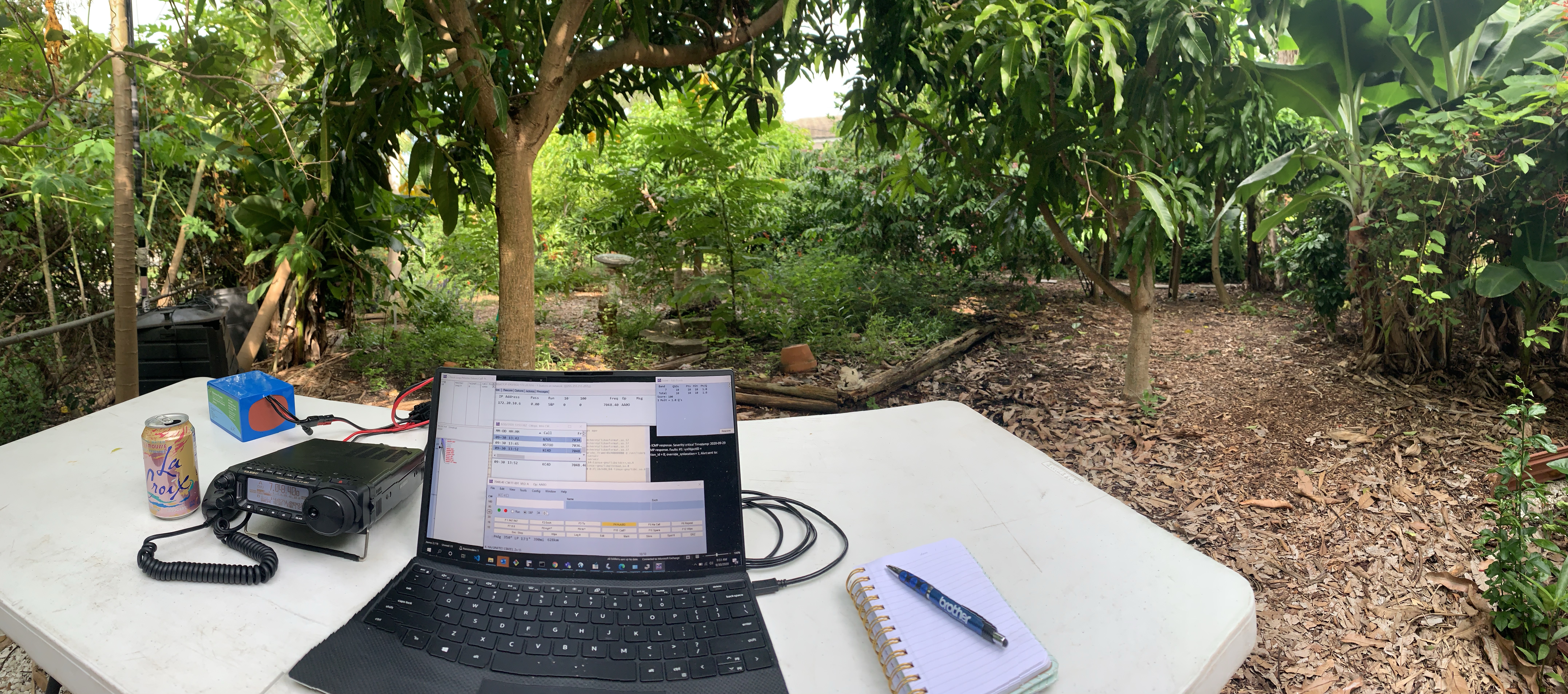 Morning CWT from my new garden, POTA style