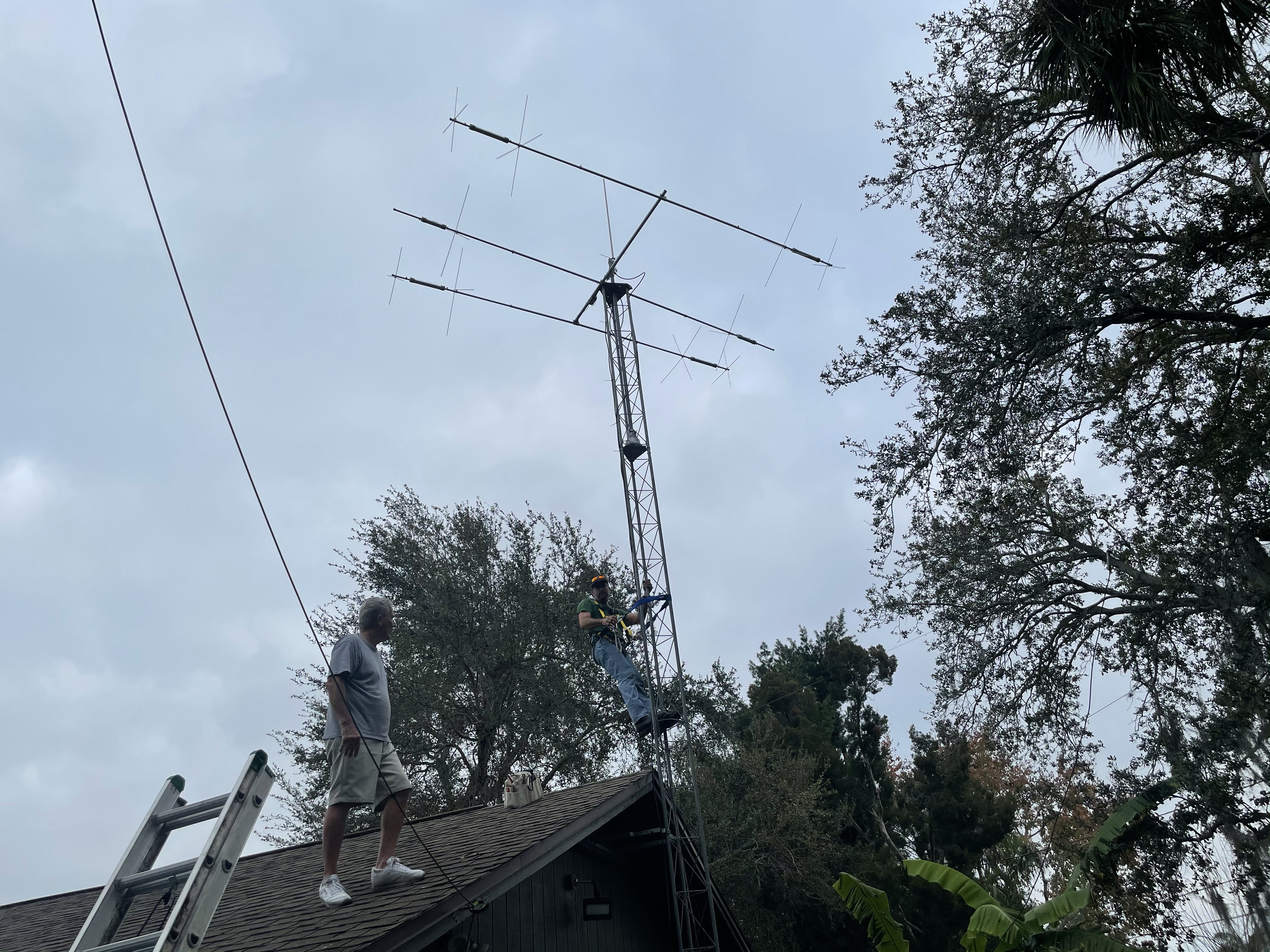 Lisa's new antenna
