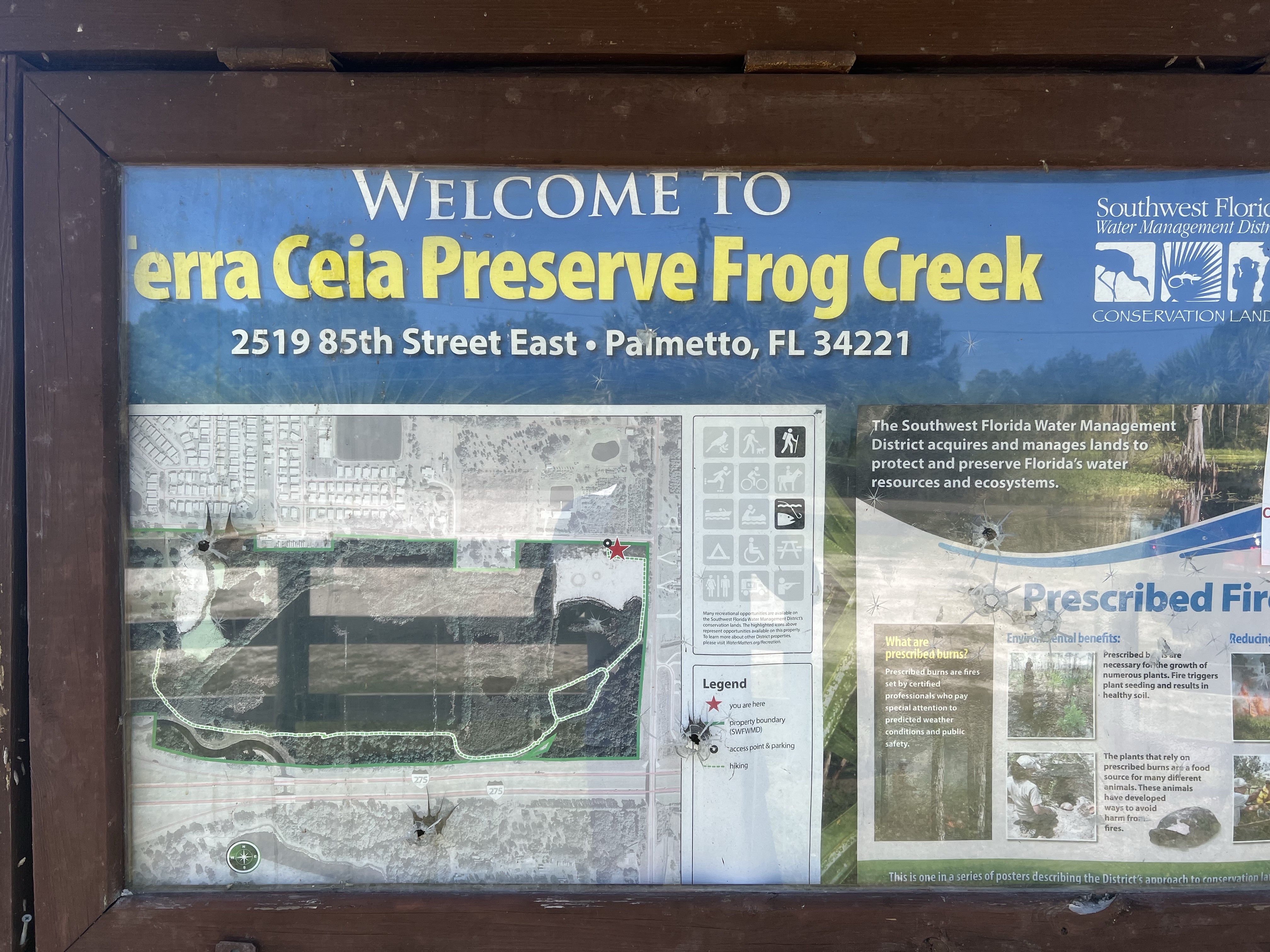 K-6744 Terra Ceia Preserve Frog Creek
